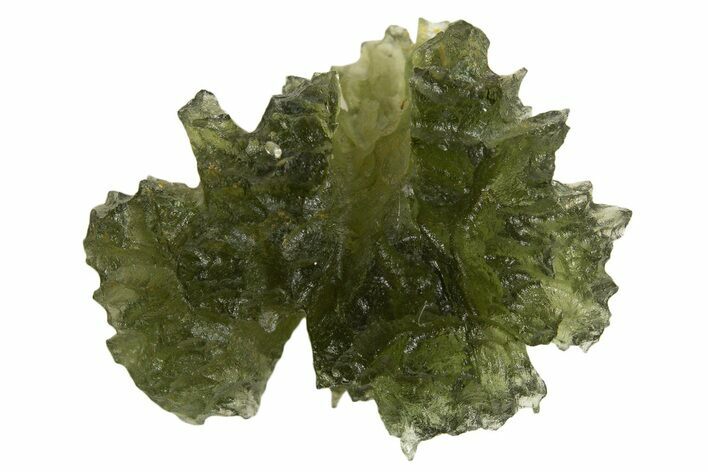 Green Moldavite Tektite ( g) - Besednice, Czech Republic #337743